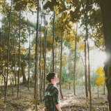 T. T. Minh