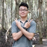 H. Hồng