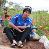 P. T. Th&agrave;nh