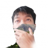 V. V. T. Vinh