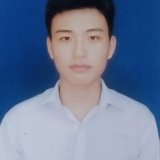 N. N. Đ. Ho&agrave;ng