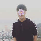 L. V. Hung