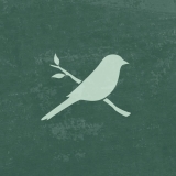 G. Bird