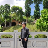 N. P. Tấn