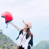 V. Anh