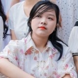 T. N. Nguyễn