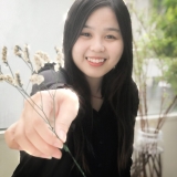 N. Hạ Vy