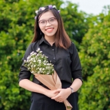 N. T. Hồng