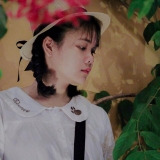 P. Trinh