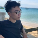 L. N. Anh
