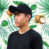 N. Q. Hiệp