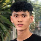 N. D. Phương