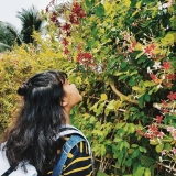 N. T. Q. Thư