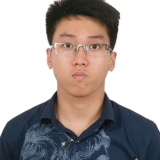 V. N. Linh