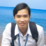 N. V. Linh