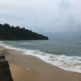 V. Đ. Luật
