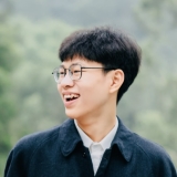 N. T. Vinh
