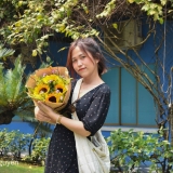 T. Nguyễn