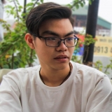 N. T. Ho&agrave;