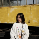 P. T. Ho&agrave;i