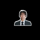 T. Phan