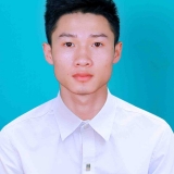 N. Nguyen