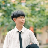 T. T. Anh