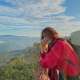L. T. L. Trinh