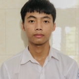 N. Q. Anh