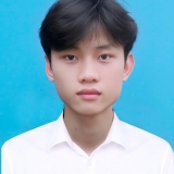 L. V. Ho&agrave;ng