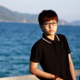 N. Vu