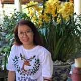 H. Nguyễn