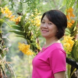 K. Thoa