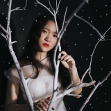 T. Nguyễn