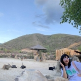 H. N. H. Trang