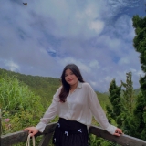 N. Nguyễn