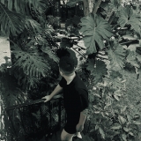 T. Đ. Mạnh