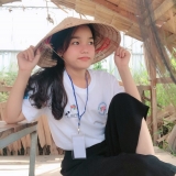 N. Hồ
