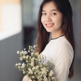 H. Yến