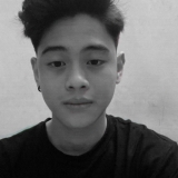 N. D. T. Anh