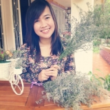 &Aacute;. Nguyệt