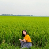 B. Đ&ocirc;ng