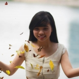 J. Vu