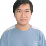 L. N. T. Nhi