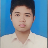 N. T. Nguyễn