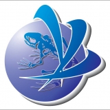 N. Th&ocirc;ng