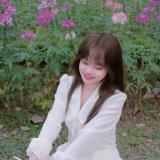 N. H&agrave;