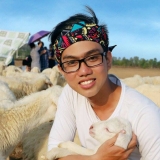 P. T. Lộc