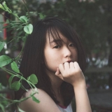 N. Nhu