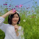 L. Chi
